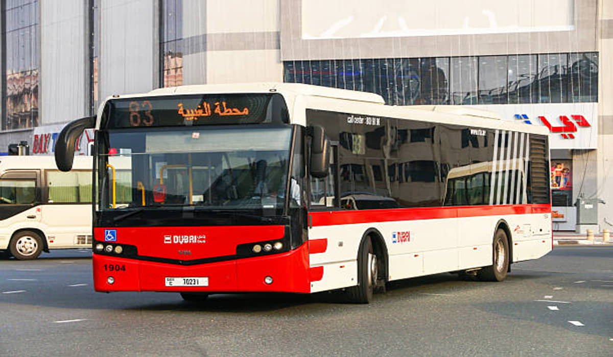 public bus vs car lift